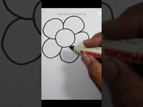 Video: Jenis petak bunga dan petak bunga, nama dan cara pembuatannya