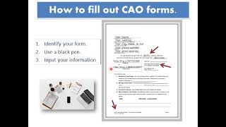 Court Assistance Office Forms Video