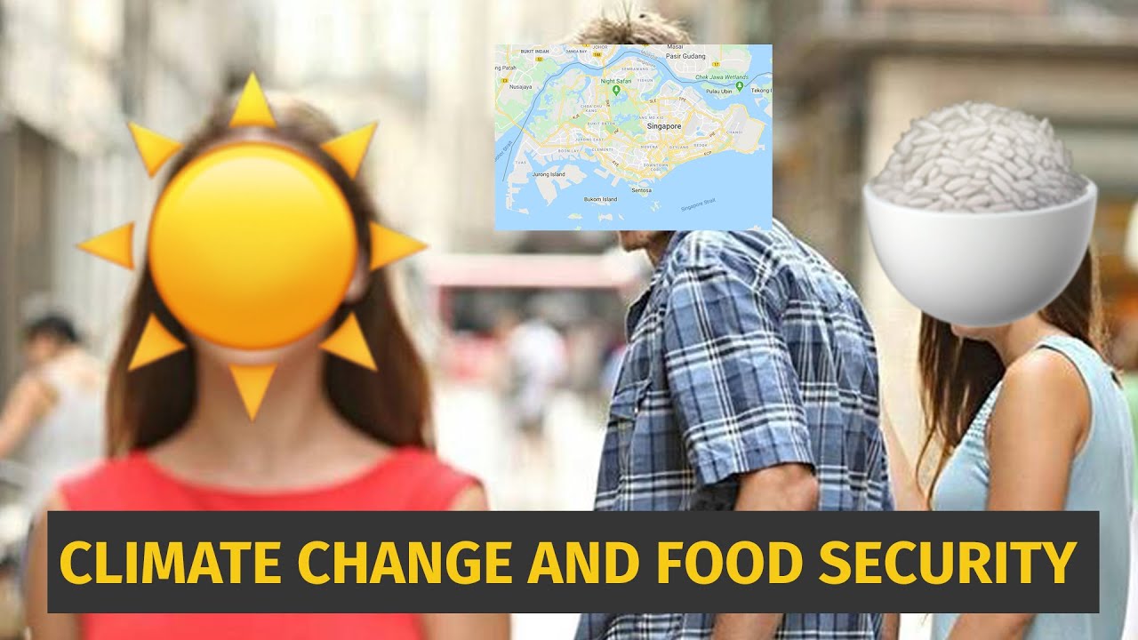 Hungry For Food Security in Singapore YouTube