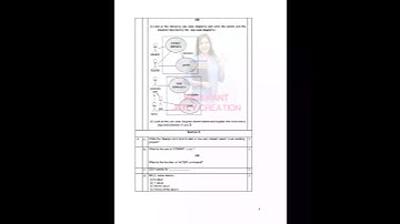 CBSE 12 INFORMATICS PRACTICES (2019-20) SAMPLE QUESTION PAPER