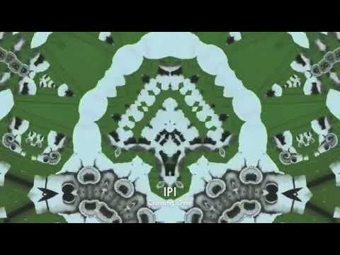 IPI - Crossing Over (TOUR DE TRAUM 29)