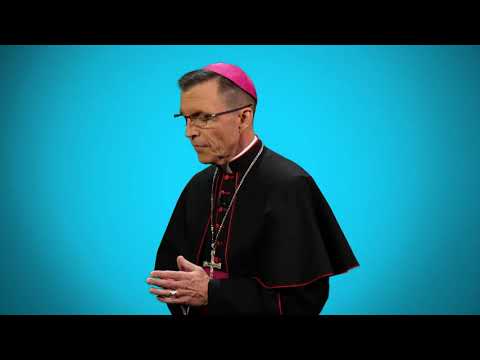 Pray   The Angelus with Bishop Reed