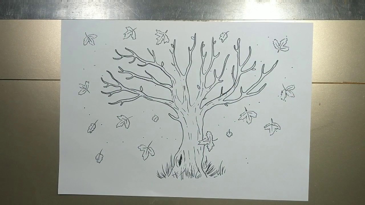 How to draw FALL TREE step by step - YouTube