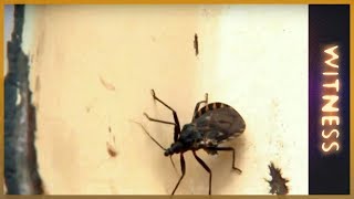 🇦🇷Chagas: A silent killer l Witness