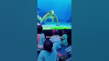 PERFECT RESPONSE | Turtle talk with crush 🥰