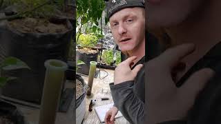 Mountain Man Farms LLC Products. CBD isolate, salves, chapstick, flower and tinsure