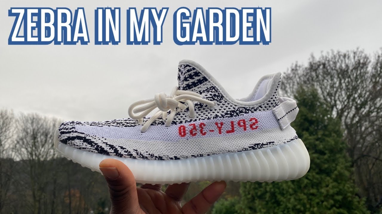 yeezy 350 zebra resell