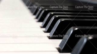 Piano keys stock picture, image royalty free screenshot 5
