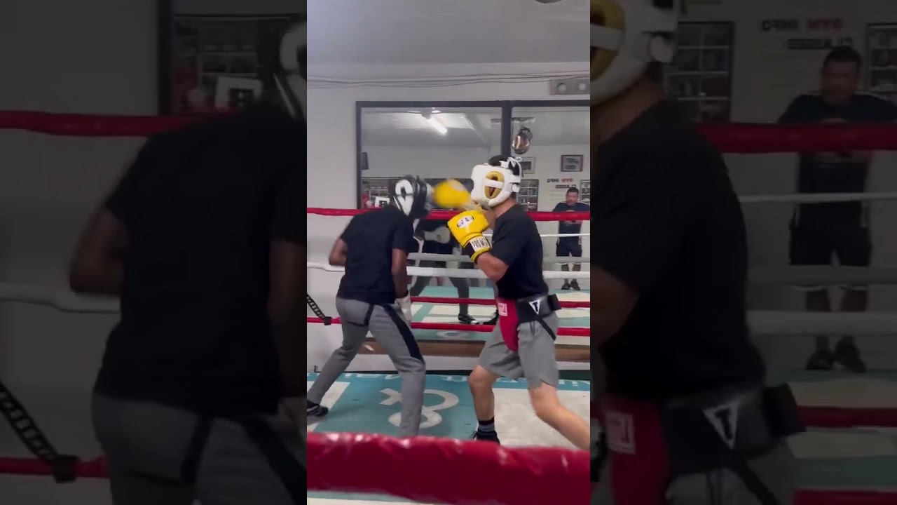 🥊 boxing fighter • patiance powter metal 9999 