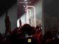 Dorothée - Tremblement de terre (Live 2026)