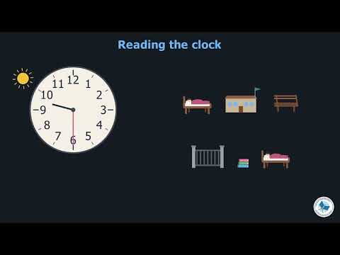 Class 4 English Chapter 2 | What Is The Time Amber's First Day