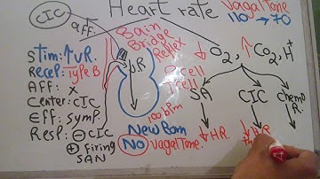 CVS new system (Heart rate) dr mohamed fayez
