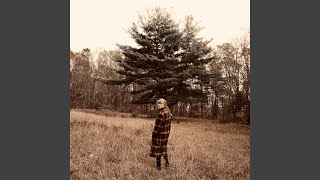 willow - Taylor Swift