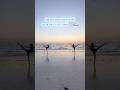 i 🫶🏼 dancing on the beach                 #ballet #dance #fyp #shorts #chill  #ballerinas