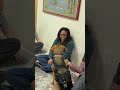 Therapy Dog | Real Dogs with Parks Jobs