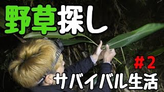 【サバイバル生活】　野草を探せ！2話