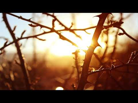 ما اتاكم الرسول فخذوه وما نهاكم عنه فانتهوا تفسير الشيخ ابن العثيمين