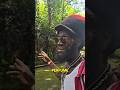 Trip To Portland Jamaica Nature Reggae Trip To Portland Jamaica Nature Reggae