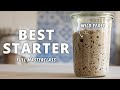 The Last SOURDOUGH STARTER RECIPE You Ever Need (updated 2022)