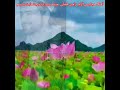 رامین فضلی مجلیسی در باغ دو چشمایت بشینم Ramin Fazli Dar Bagh Do Chashmayat Beshinam Majlisi