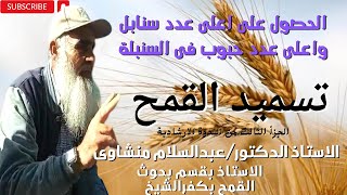 التسميد الصحيح للقمح للحصول على اعلى انتاجية د/عبدالسلام منشاوىCorrect fertilization of wheat