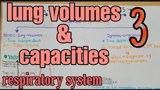 Lung volumes and capacities |Flow volume graph | Respiratory system | Simplifiers1.0