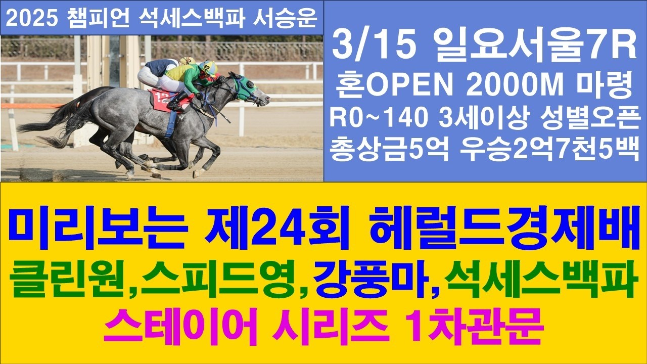미리보는 제24회 헤럴드경제배#경마장 심마니 박달재
