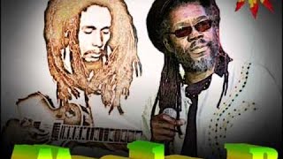 Macka B "Tribute To Bob Marley Special" (Heartical Sound Dubplates)