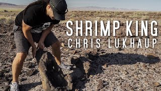 Collecting Rocks for an Aquarium near Area 51