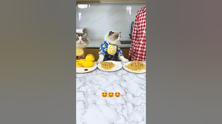 Puff's frowning over his pasta—just not enough ketchup! #KetchupCrisis #thatlittlepuff