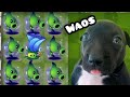 Jugando PvZ PERO con plantas SOMBRA😯