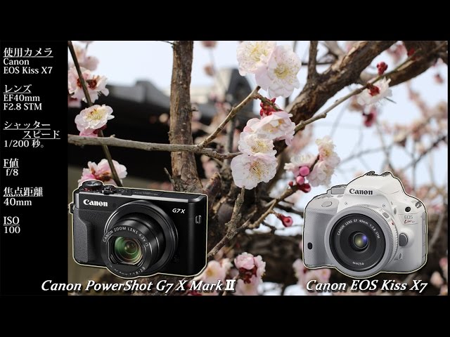 Canon - レンズが違う！動画にもこだわりたい方必見☆Canon EOS Kiss X7 Amazon | Canon デジタル一眼レフカメラ EOS Kiss X7 ダブル