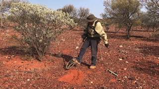 : Gold nugget, GoldfieldsWestern Australia