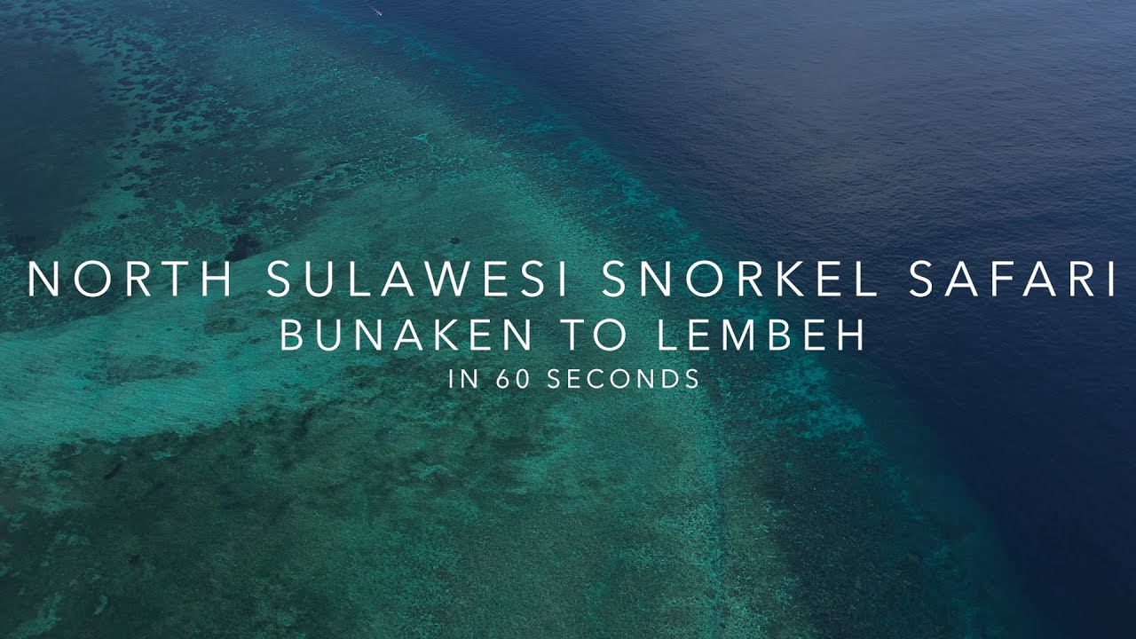 Bunaken Lembeh in 60 Seconds