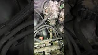 valve cover gasket replacement 2002 Lexus ES300 3.0