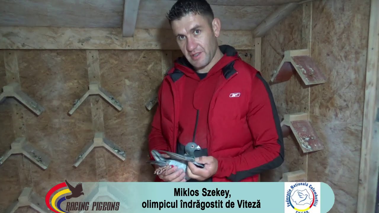 Miklos Szekey, olimpicul îndrăgostit de Viteză