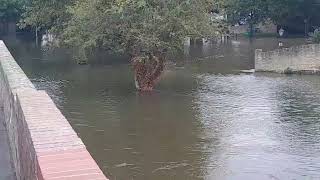 Cambridgeshire St Ives flood 2024