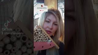 Dont Be Afraid Of Bees