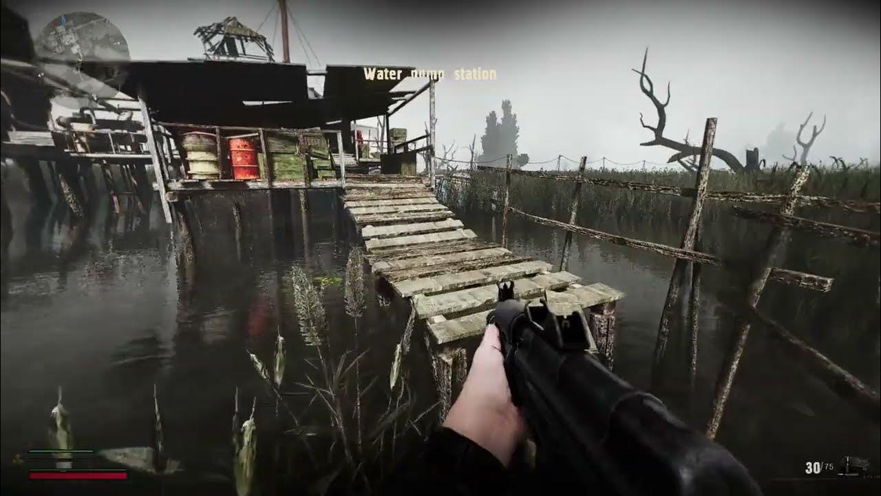 Stalker Expedition A Walk in the Great Swamp. YouTube