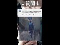 あの虫捕まえてないよね?#解説#小ネタ#ファンタビ