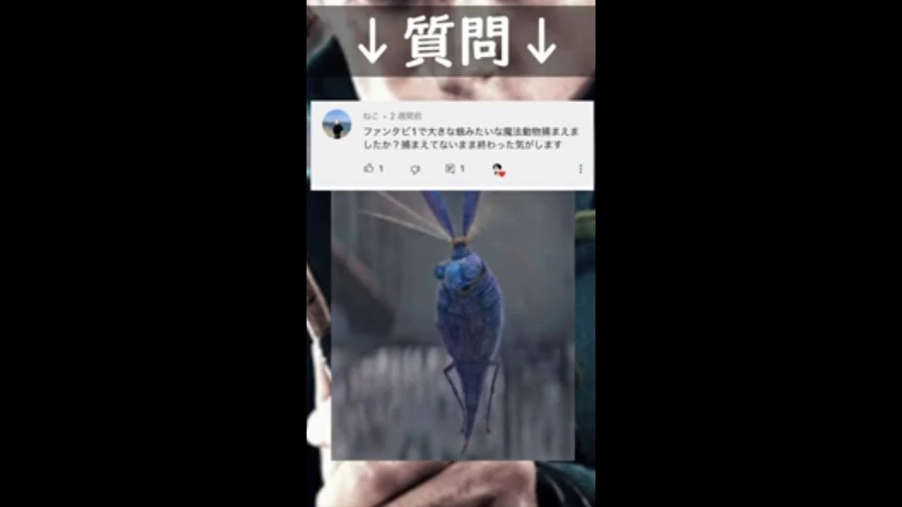 あの虫捕まえてないよね?#解説#小ネタ#ファンタビ