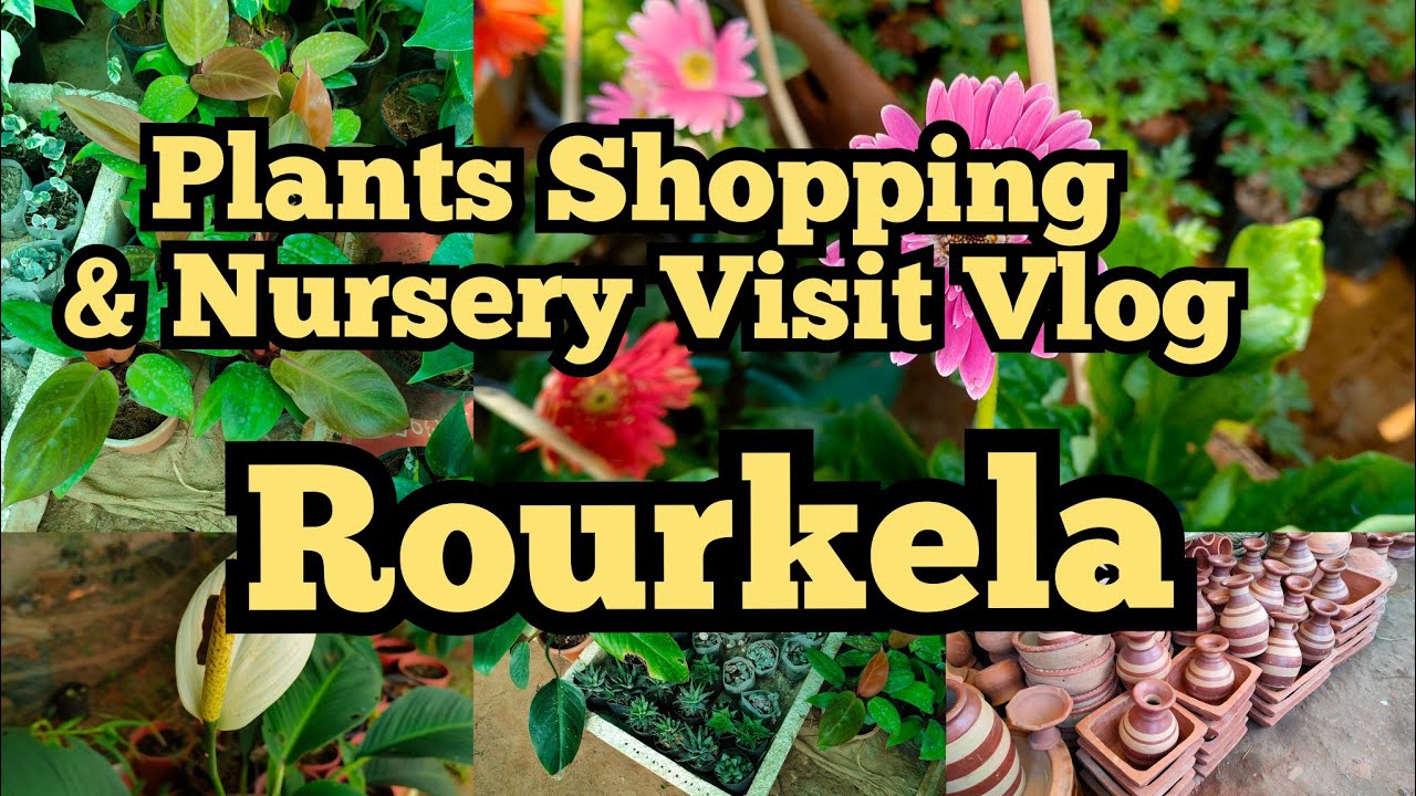 Plants Shopping & Nursery visit Vlog // Rourkela 2022 gardening 