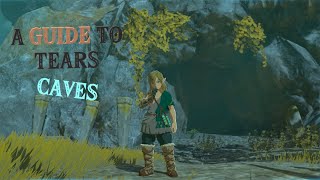 A Guide To Tears: North Hyrule Plain Cave #totk #walkthrough #bubbulfrog