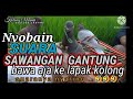 Nyobain Suara Sawangan Gantung Seperti Apa Sih Mp3 - Mp4 Download