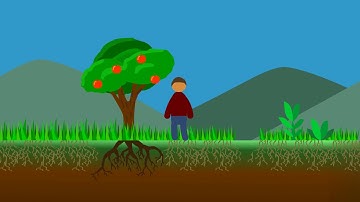 Regenerative Agriculture: A Solution to Climate Change