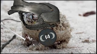 Angry South African Screaming Desert Rain Frog In Calradia!