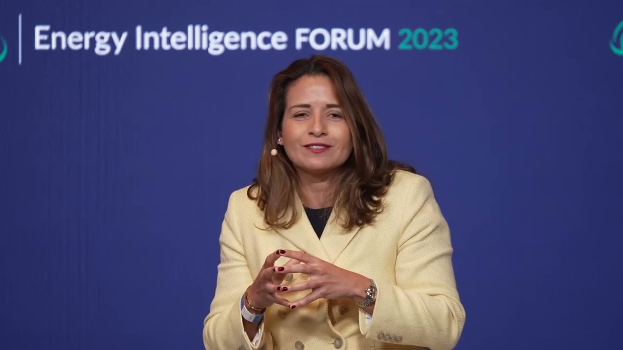 Climate Divisions and COP | 2023 Energy Intelligence Forum