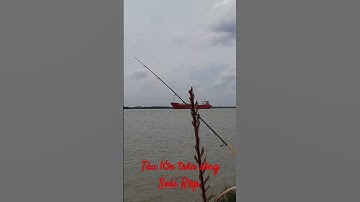 Tàu lớn chạy trên sông Soài Rạp. #fishing #soairap