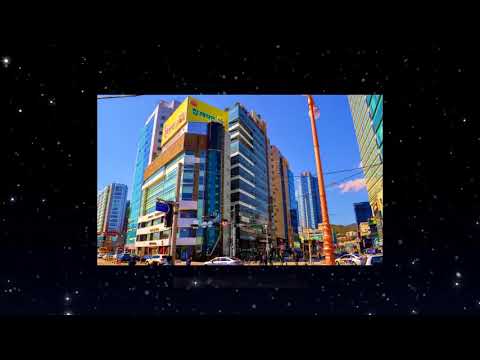 Sunset Business Hotel Review In Busan South Korea - 