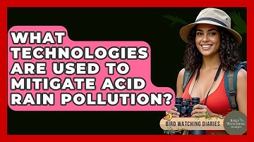 What Technologies Are Used To Mitigate Acid Rain Pollution? - Bird Watching Diaries